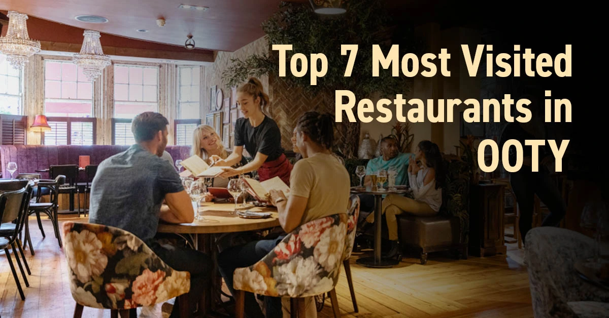 Top 7 Most Visited Restaurants in Otty